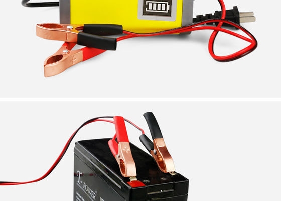 高性能の鉛酸蓄電池のための強力でスマートな充電器12v/24v 5A 10A 20Amp